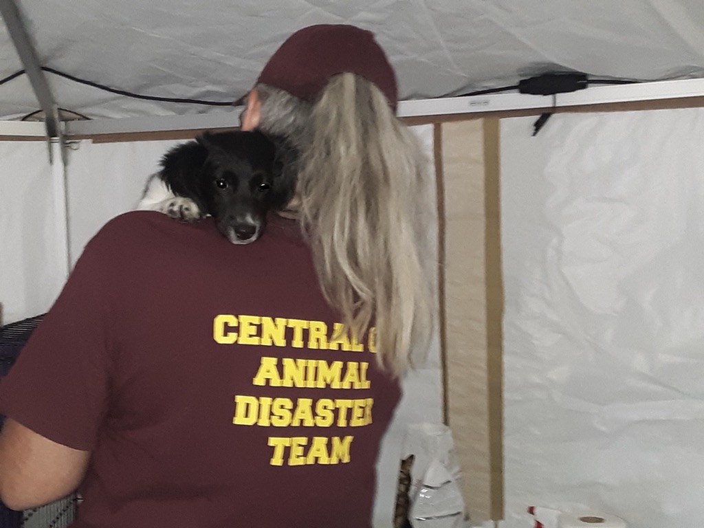 09BC6695-51A9-4294-BDBD-F52922C73834_1_105_c