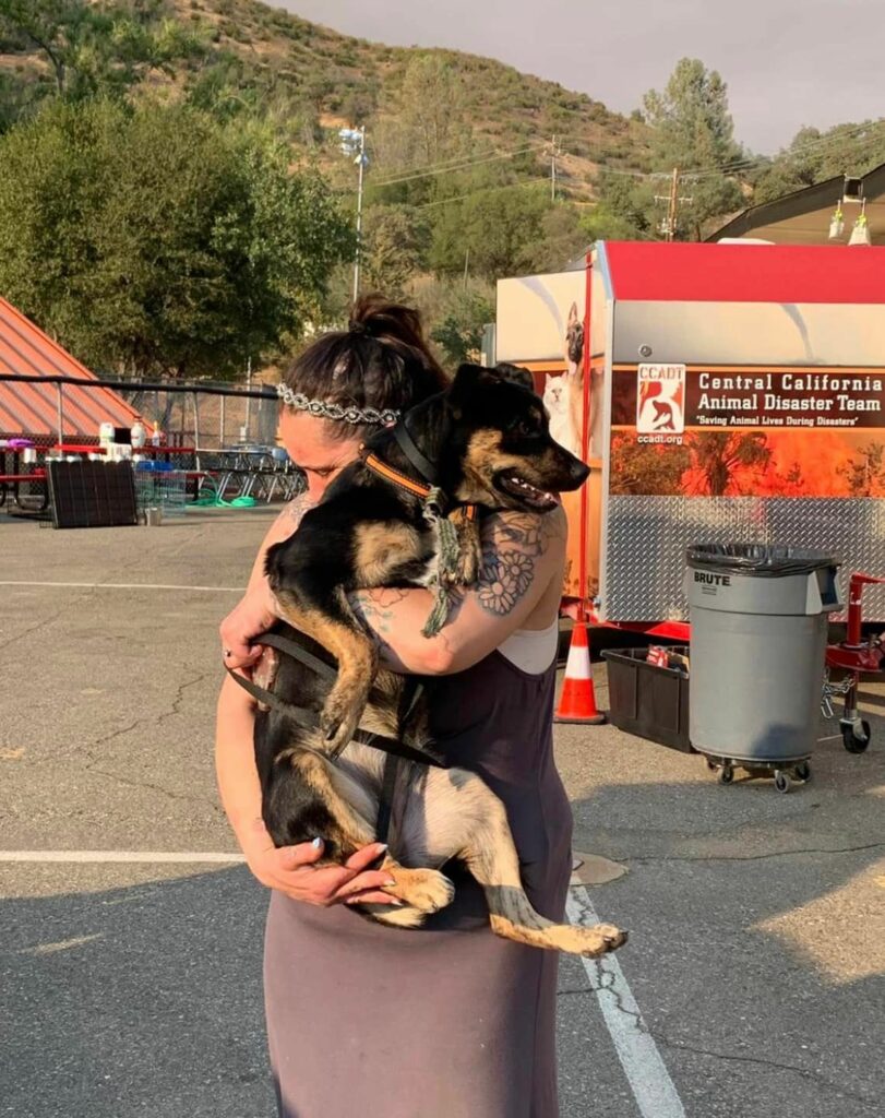 Evacuee reunited with her dog that was lost during the Oak Fire 2022