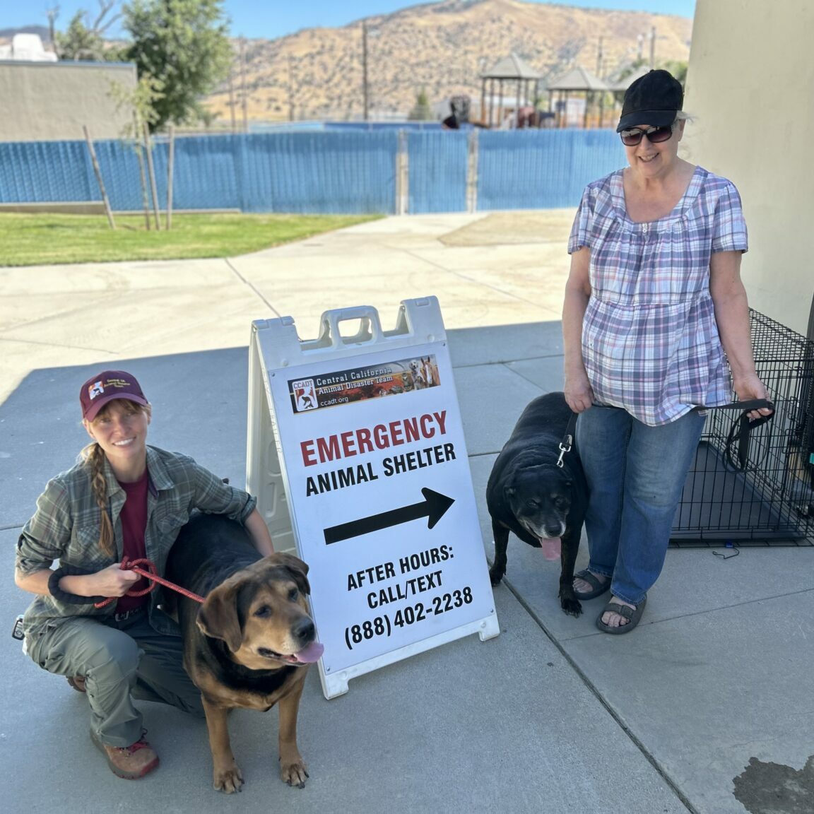 CCADT Volunteer Katie Grube helping evacuees with pets.  Borel Fire, Kern County 2025