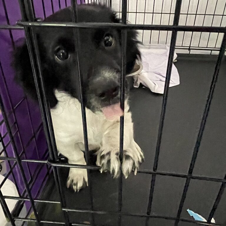 738DA9E0-35EE-4C3F-A3B0-23BA482CFB5A_1_105_c