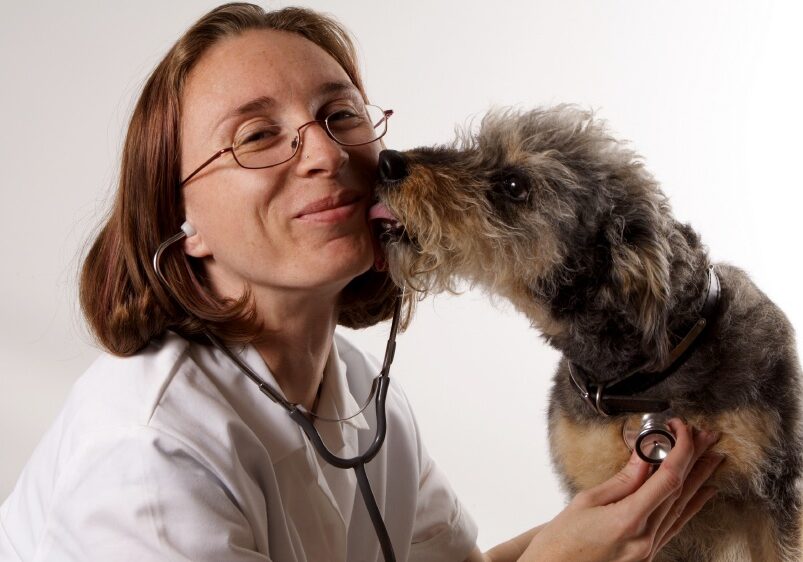 Dog with Vet