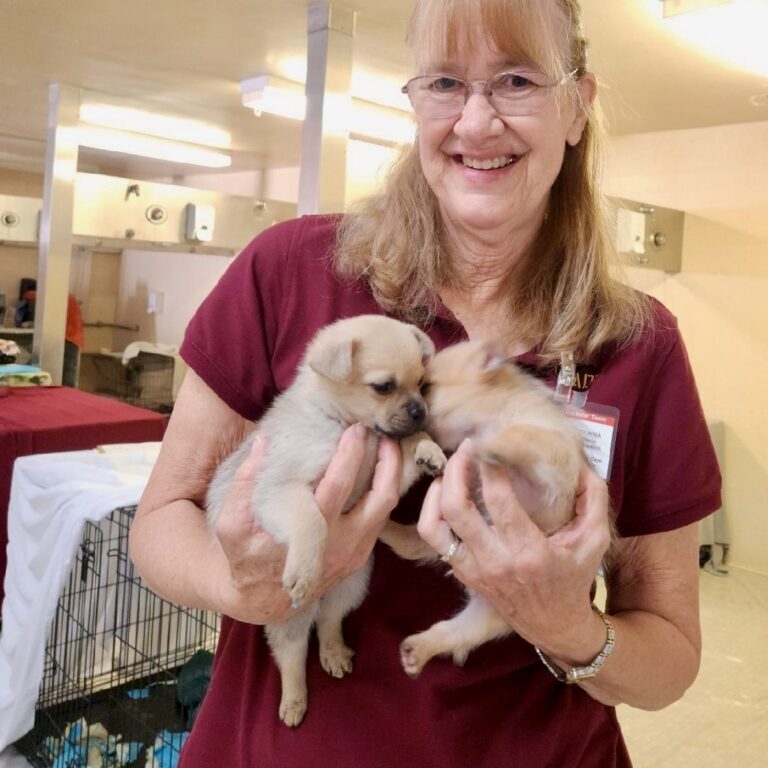 Donna Harris-Gonzales